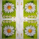 348 Daisies - 3-ply - CS